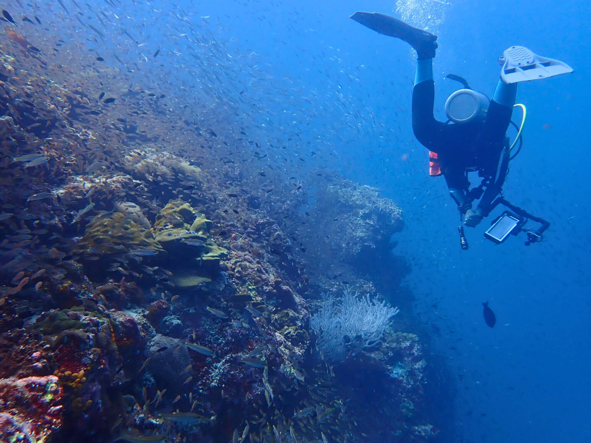 11 Scuba Diving Tips That Will Instantly Level Up Your Dives - Ocean Info